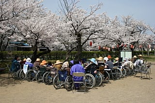 お花見